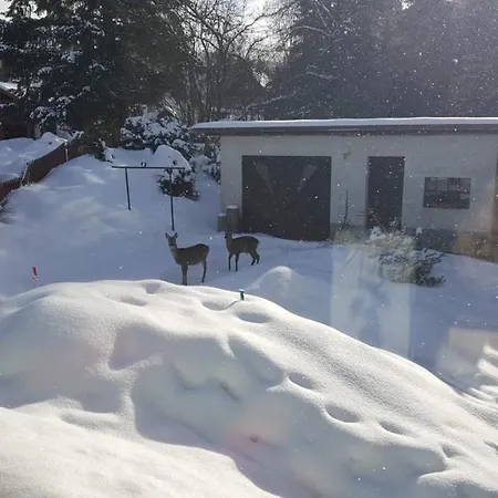 387 Apartamento Harrachov