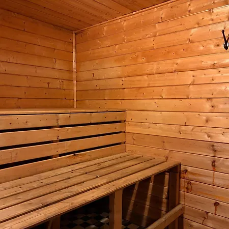 387 Apartment Harrachov