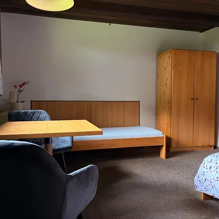 387 Apartment Harrachov